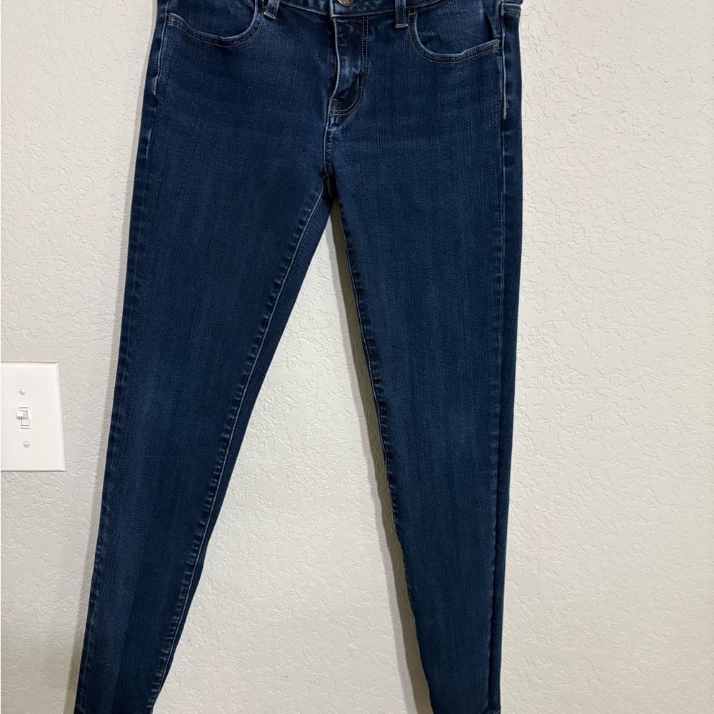 American Eagle Outfitters Dark Blue Skinny Jeans